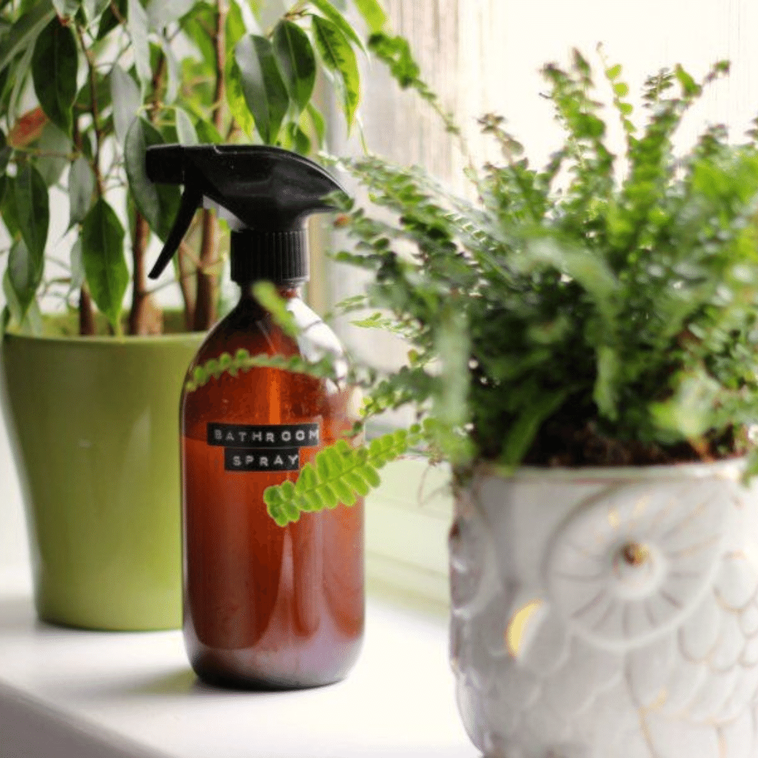 homemade cleaning products losing weight fasting